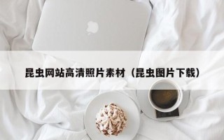 通辽昆虫网站高清照片素材（昆虫图片下载）